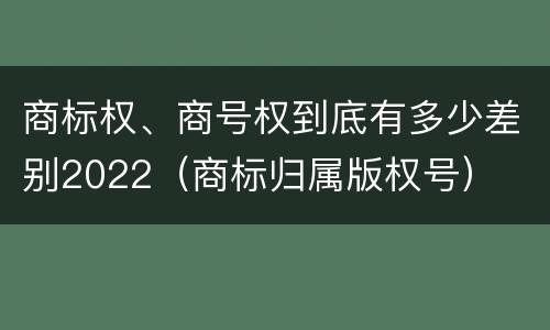 商标权、商号权到底有多少差别2022（商标归属版权号）