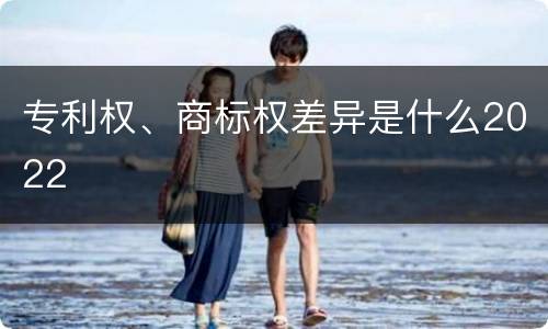 专利权、商标权差异是什么2022