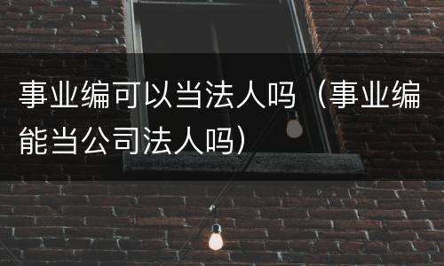 事业编可以当法人吗（事业编能当公司法人吗）