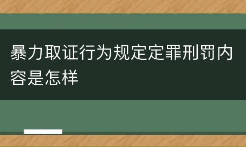 暴力取证行为规定定罪刑罚内容是怎样