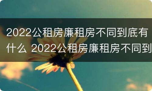 2022公租房廉租房不同到底有什么 2022公租房廉租房不同到底有什么影响