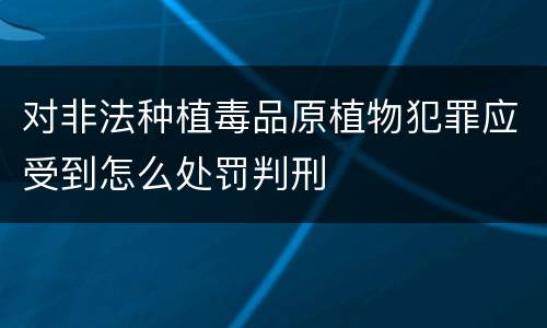 对非法种植毒品原植物犯罪应受到怎么处罚判刑