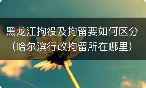 黑龙江拘役及拘留要如何区分（哈尔滨行政拘留所在哪里）