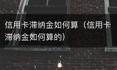 信用卡滞纳金如何算（信用卡滞纳金如何算的）