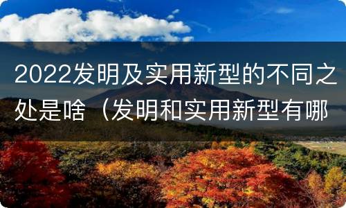 2022发明及实用新型的不同之处是啥（发明和实用新型有哪些区别）