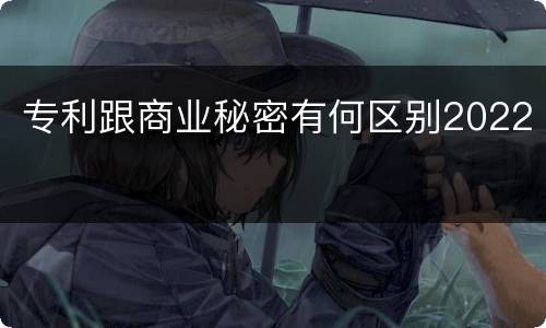专利跟商业秘密有何区别2022