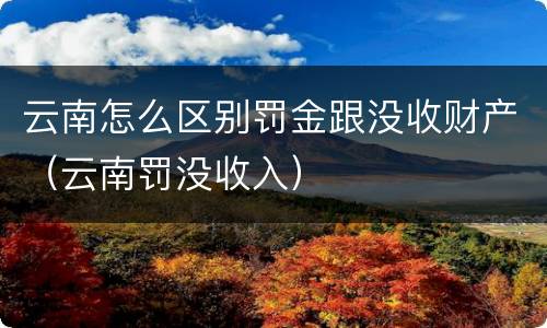 云南怎么区别罚金跟没收财产（云南罚没收入）