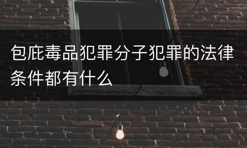包庇毒品犯罪分子犯罪的法律条件都有什么