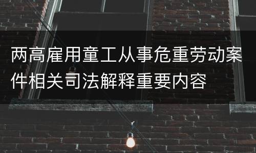 两高雇用童工从事危重劳动案件相关司法解释重要内容