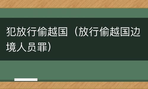 犯放行偷越国（放行偷越国边境人员罪）