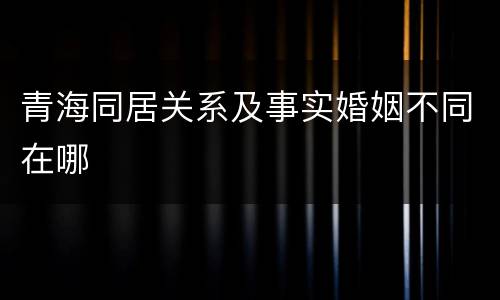 青海同居关系及事实婚姻不同在哪