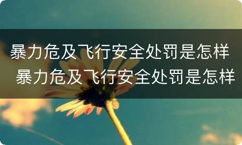 暴力危及飞行安全处罚是怎样 暴力危及飞行安全处罚是怎样执行的