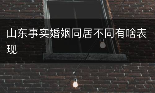 山东事实婚姻同居不同有啥表现