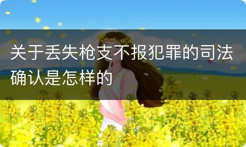 关于丢失枪支不报犯罪的司法确认是怎样的