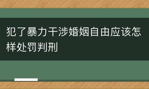 犯了暴力干涉婚姻自由应该怎样处罚判刑