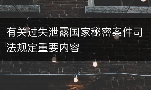 有关过失泄露国家秘密案件司法规定重要内容