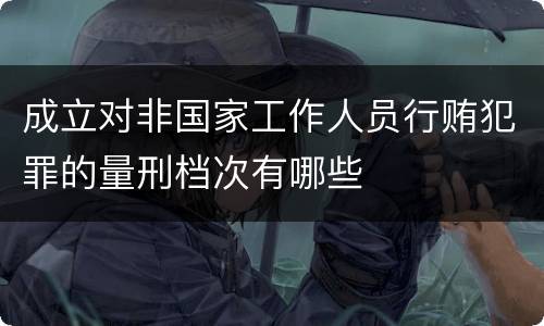 成立对非国家工作人员行贿犯罪的量刑档次有哪些