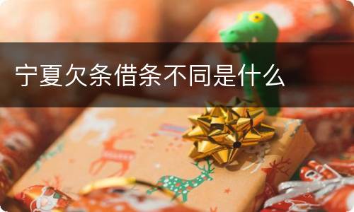 宁夏欠条借条不同是什么