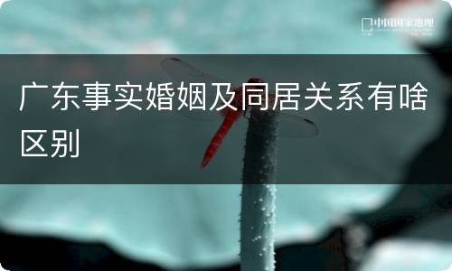广东事实婚姻及同居关系有啥区别
