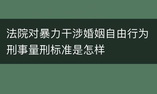 法院对暴力干涉婚姻自由行为刑事量刑标准是怎样
