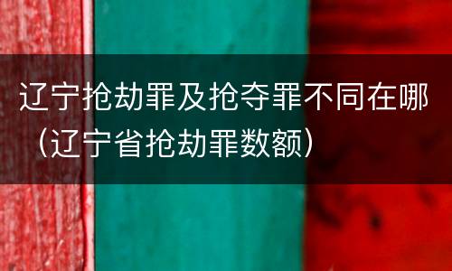 辽宁抢劫罪及抢夺罪不同在哪（辽宁省抢劫罪数额）