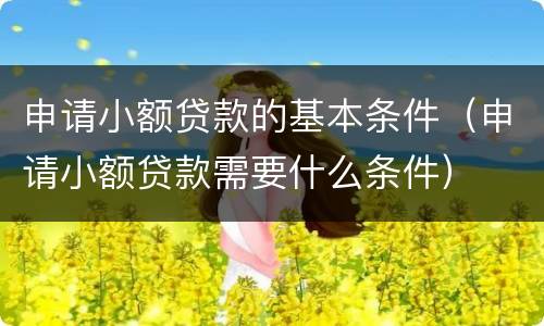 申请小额贷款的基本条件（申请小额贷款需要什么条件）