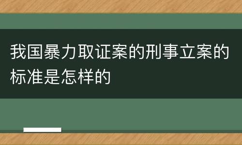 我国暴力取证案的刑事立案的标准是怎样的