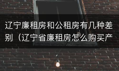 辽宁廉租房和公租房有几种差别（辽宁省廉租房怎么购买产权）