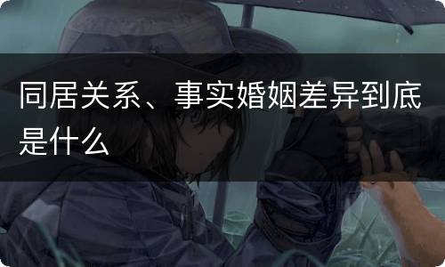 同居关系、事实婚姻差异到底是什么