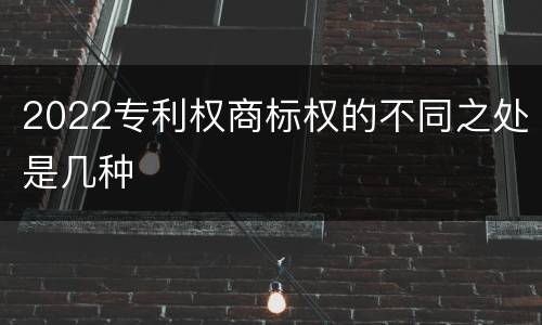 2022专利权商标权的不同之处是几种
