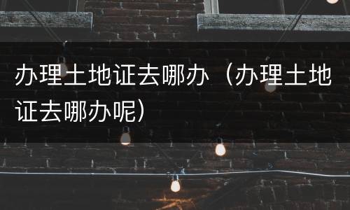 办理土地证去哪办（办理土地证去哪办呢）