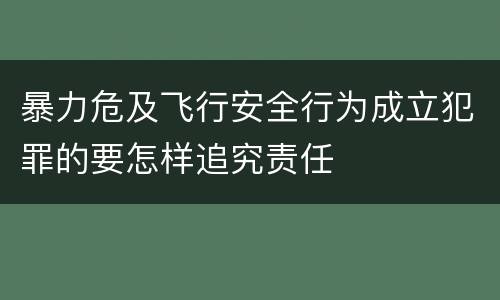 暴力危及飞行安全行为成立犯罪的要怎样追究责任