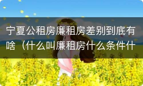 宁夏公租房廉租房差别到底有啥（什么叫廉租房什么条件什么叫公租房）