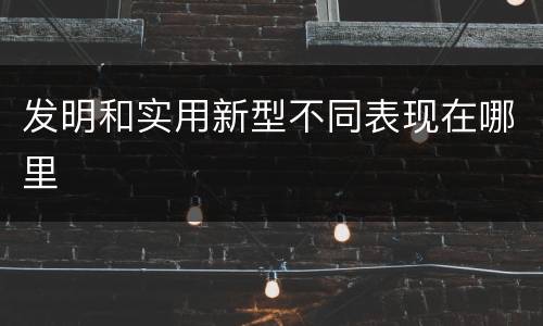 发明和实用新型不同表现在哪里