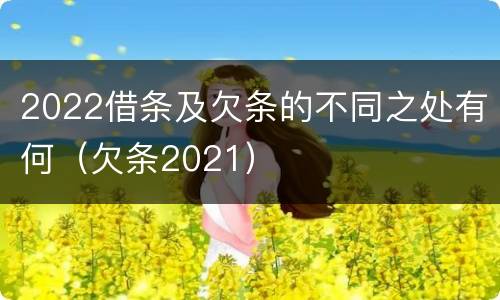 2022借条及欠条的不同之处有何（欠条2021）