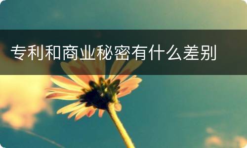专利和商业秘密有什么差别