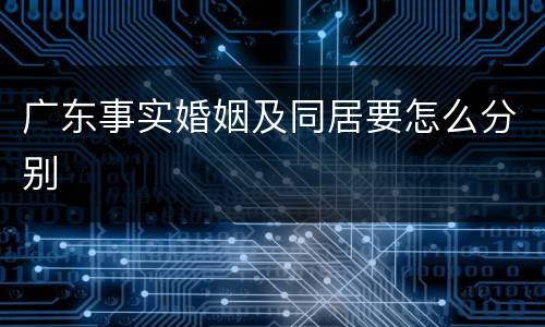 广东事实婚姻及同居要怎么分别