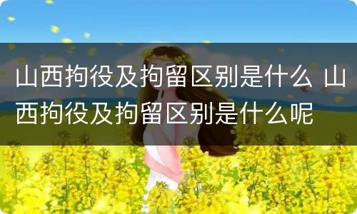 山西拘役及拘留区别是什么 山西拘役及拘留区别是什么呢