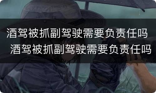 酒驾被抓副驾驶需要负责任吗 酒驾被抓副驾驶需要负责任吗知乎