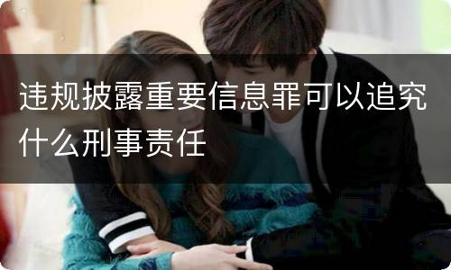 违规披露重要信息罪可以追究什么刑事责任