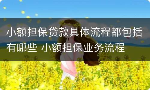 小额担保贷款具体流程都包括有哪些 小额担保业务流程
