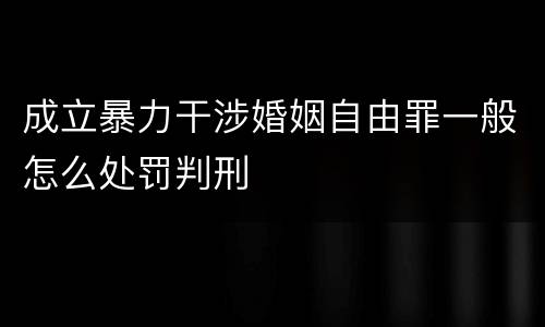 成立暴力干涉婚姻自由罪一般怎么处罚判刑