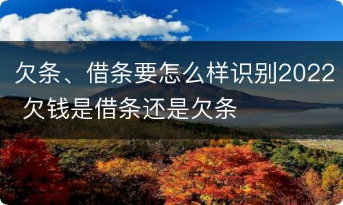 欠条、借条要怎么样识别2022 欠钱是借条还是欠条