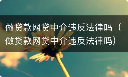做贷款网贷中介违反法律吗（做贷款网贷中介违反法律吗）