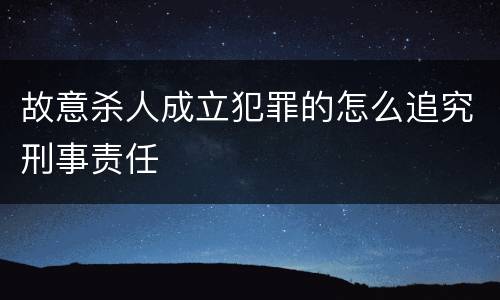 故意杀人成立犯罪的怎么追究刑事责任