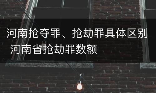 河南抢夺罪、抢劫罪具体区别 河南省抢劫罪数额
