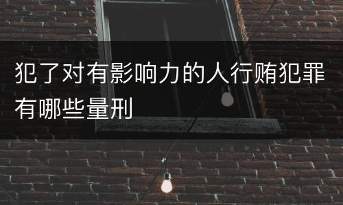 犯了对有影响力的人行贿犯罪有哪些量刑