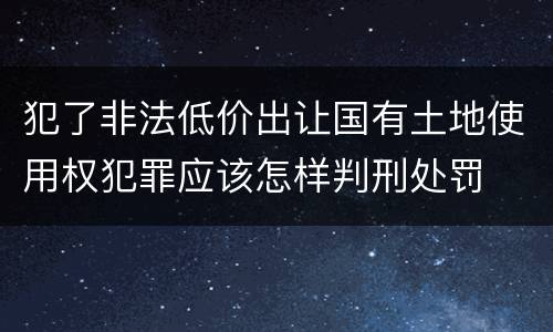 犯了非法低价出让国有土地使用权犯罪应该怎样判刑处罚