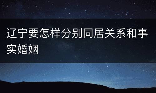 辽宁要怎样分别同居关系和事实婚姻