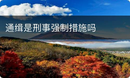 通缉是刑事强制措施吗